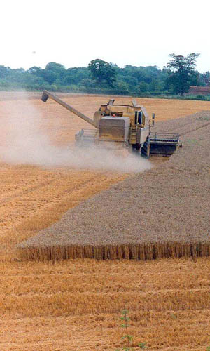 ...combining on the Highclere Estate ...combining on the Highclere Estate