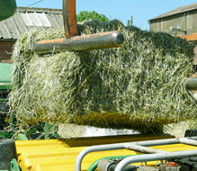 Haylage making at Porchester Farms