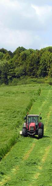 Haylage mowing near Beacon Hill.