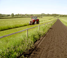 Haylage mowing at Porchester Farms