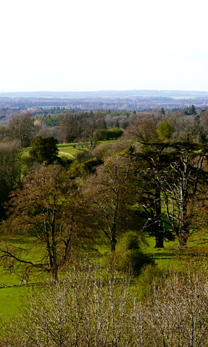 Many species of trees have been planted in Highclere Park in the past 250 years Many species of trees have been planted in Highclere Park in the past 250 years
